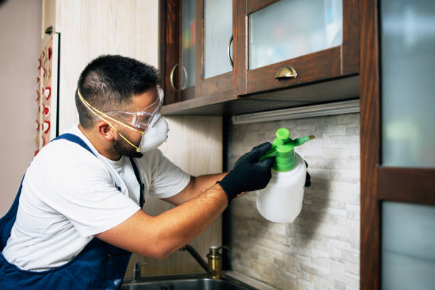 Best Bed Bug Extermination  in Brockport, NY