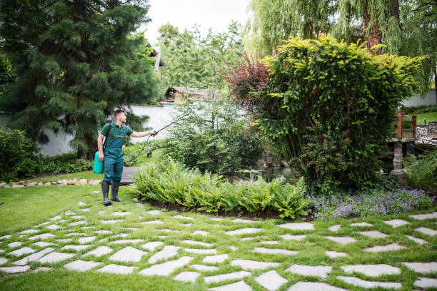 Best Best Pest Control Companies  in Brockport, NY