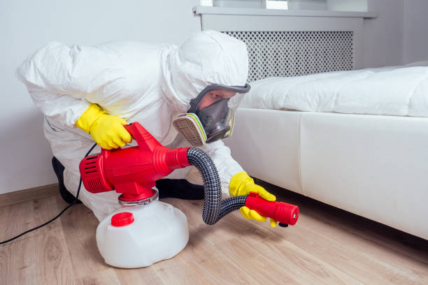 Best Emergency Pest Control  in Brockport, NY