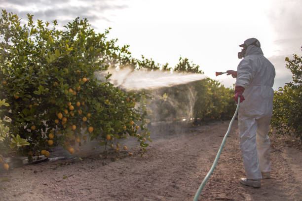 Pest Control Cost in Brockport, NY
