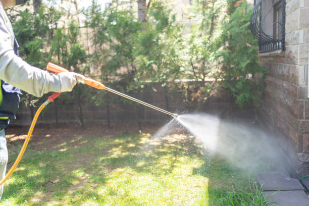 Best Mosquito Control Services  in Brockport, NY