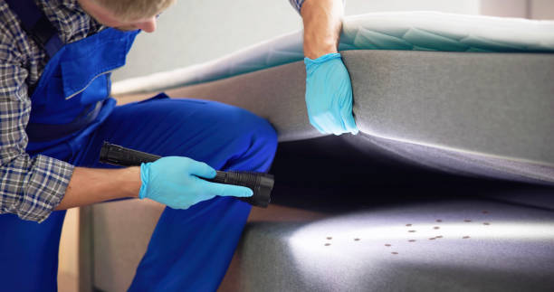 Best Pest Control Near Me  in Brockport, NY