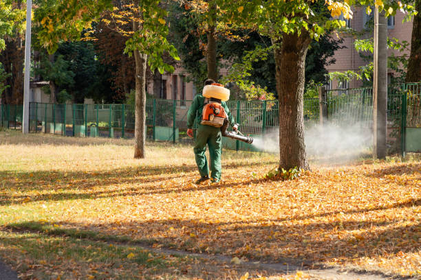 Best Pest Control for Homes  in Brockport, NY