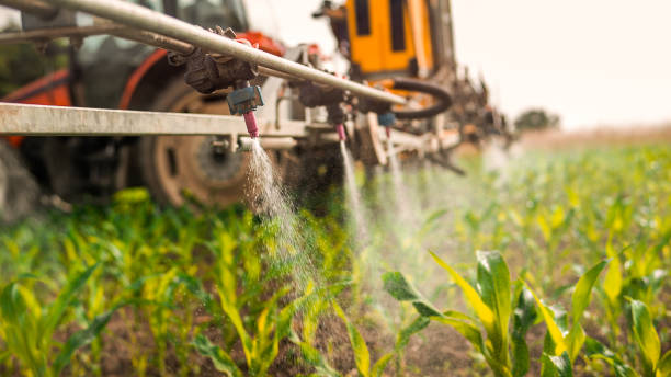 Best Ant Control Services  in Brockport, NY