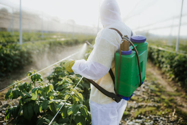Reliable Brockport, NY Pest Control Solutions